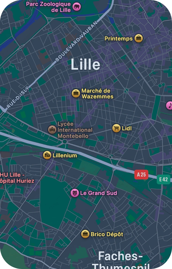 Voir les annonces locales à Lille